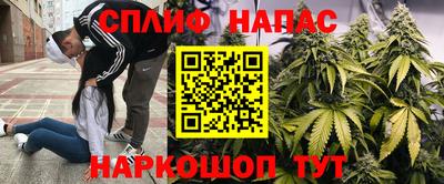 стафф Ставрополь